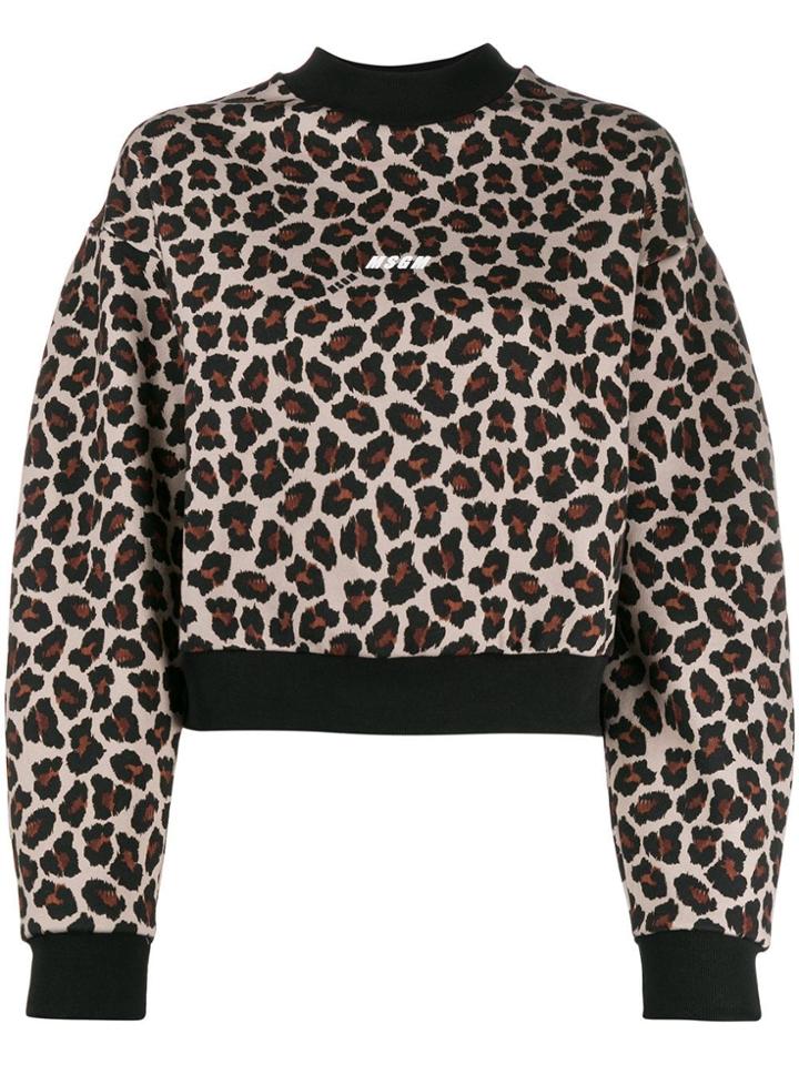 Msgm Leopard Print Sweatshirt - Neutrals