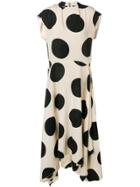 Petar Petrov Asymmetric Polka Dot Dress - Neutrals