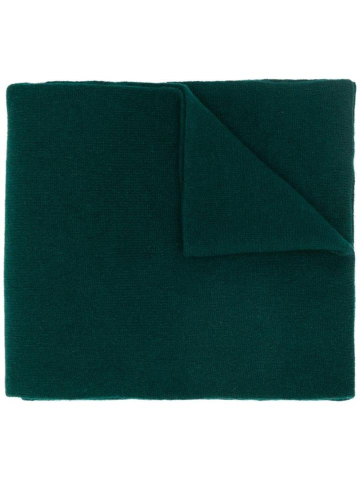 Ma'ry'ya Fine Knit Scarf - Green