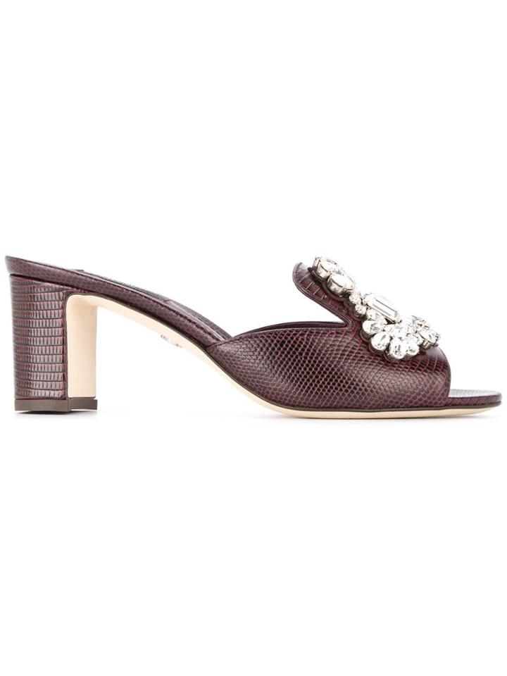 Dolce & Gabbana Embellished Mules - Brown