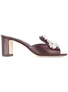Dolce & Gabbana Embellished Mules - Brown