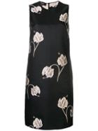 Rochas Floral Print Dress - Black