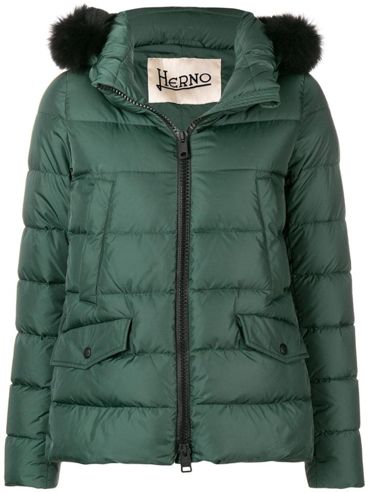 Herno Zipped Up Puffer Jacket - Green