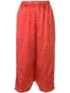 Comme Des Garçons Pre-owned 2005 Polka-dot Bermuda Trousers - Red