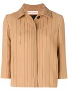 Marni Pinstripe Jacket - Nude & Neutrals