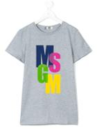 Msgm Kids - Teen Logo Print T-shirt - Kids - Cotton - 14 Yrs, Boy's, Grey