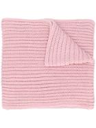 I Love Mr Mittens Oversized Ribbed Knit Scarf - Pink & Purple