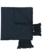 Chloé 'pompon' Scarf, Women's, Blue, Silk/cashmere/wool
