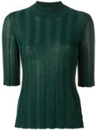 Sonia Rykiel Fitted Ribbed Jumper - Green