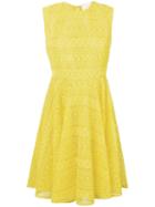 Giambattista Valli Lace Skater Dress - Yellow