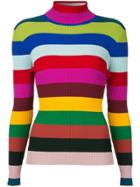 Milly Ribbed Roll Neck Top - Multicolour
