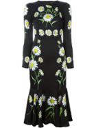 Dolce & Gabbana Daisy Print Dress, Women's, Size: 36, Black, Silk/spandex/elastane