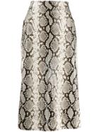 Dsquared2 Python Print Midi Skirt - Neutrals