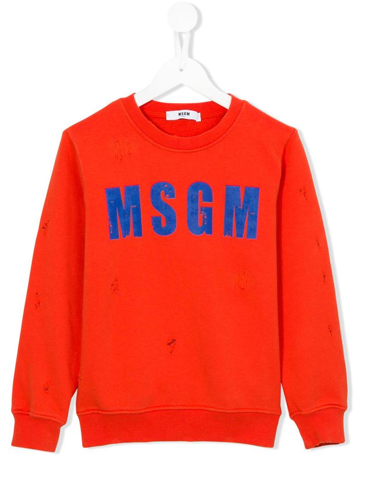 Msgm Kids Logo Front Sweatshirt, Boy's, Size: 10 Yrs, Yellow/orange