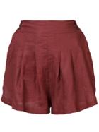 Three Graces Flared Shorts - Brown