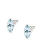 Shaun Leane 18kt Gold And Diamond Aerial Aquamarine Earrings -