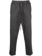 The Celect - Grey