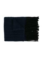 Paolo Pecora Kids Fringe-trimmed Knitted Scarf - Blue