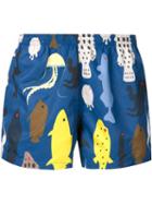 Timo Trunks Sea Life Print Swim Shorts