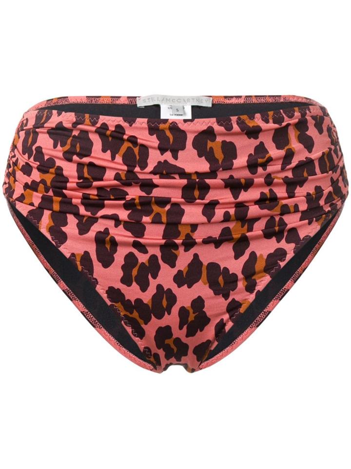 Stella Mccartney Leopard-print Bikini Bottom - Pink