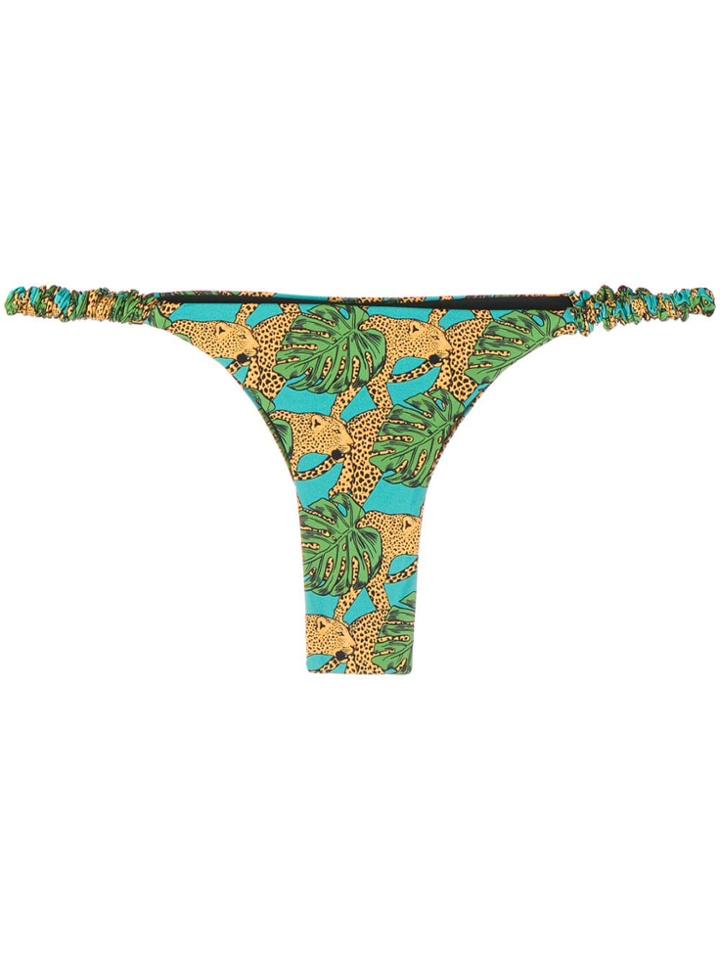 Reina Olga Jungle Fever Bikini Bottoms - Blue