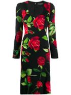 Dolce & Gabbana Rose Print Sheat Dress - Black