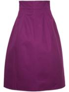 Le Ciel Bleu High Waisted Flared Skirt - Pink & Purple