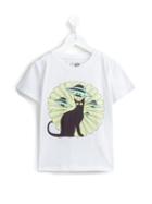 No Added Sugar 'cat Encounter' T-shirt