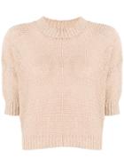 Roberto Collina Cropped Knitted Top - Brown