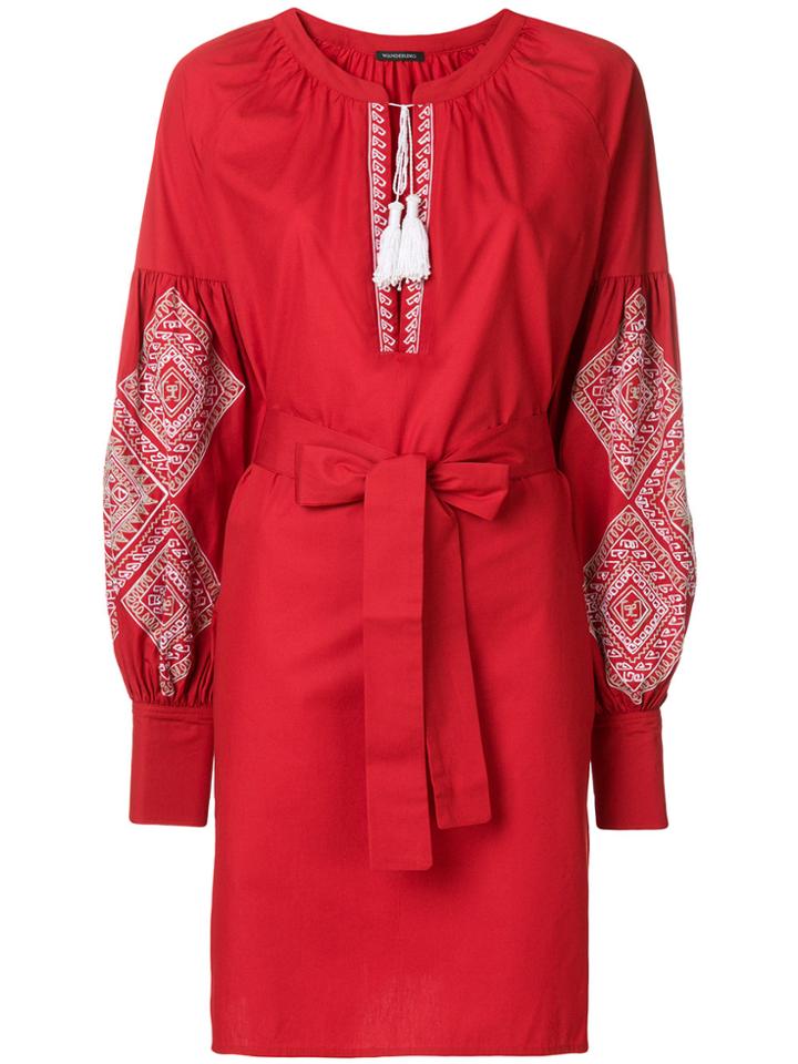 Wandering Embroidered Dress