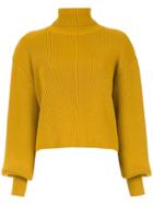 Nk Turtleneck Knitted Sweater - Yellow