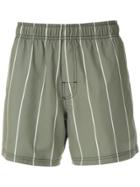 Osklen Striped Shorts - Green