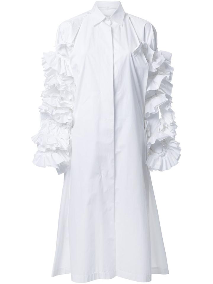 Roberts Wood Ruffle Sleeve Shirt Dress