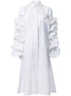 Roberts Wood Ruffle Sleeve Shirt Dress