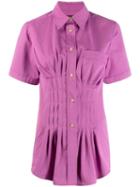 Isabel Marant Cinched Pleated Blouse - Pink