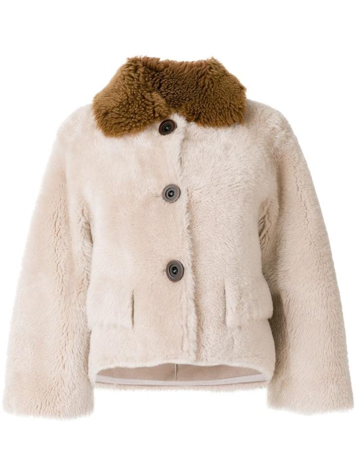 Liska Contrast Collar Cropped Jacket - Neutrals