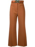 Elisabetta Franchi High-waisted Cropped Trousers - Brown