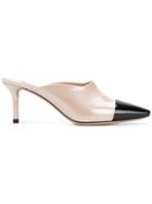 Casadei Colour Block Mules - Pink & Purple