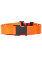 The Celect The Clip Belt - Orange