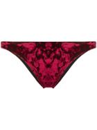 Fisico Velvet Bikini Bottoms - Red