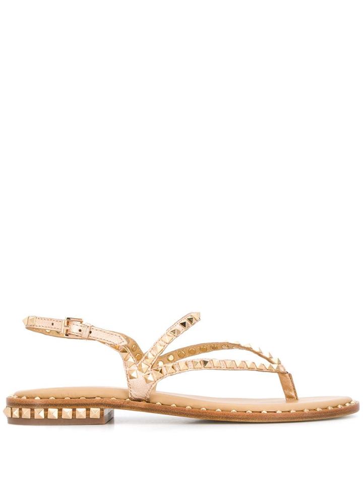 Ash Pyramid Stud Sandals - Gold