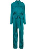 Milly Belted Waist Jumpsuit - Green
