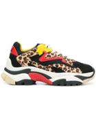 Ash Leopard Lace-up Sneakers - Black