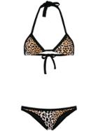 Reina Olga Piper Leopard Bikini Set - Brown