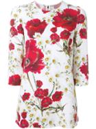 Dolce & Gabbana Daisy And Poppy Print Top, Women's, Size: 42, White, Spandex/elastane/viscose