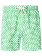 Mc2 Saint Barth Terrier Print Swim Shorts - Green