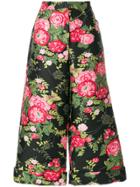 Dolce & Gabbana Floral Embroidered Culottes - Black