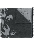 Mcq Alexander Mcqueen Swallow Scarf - Grey