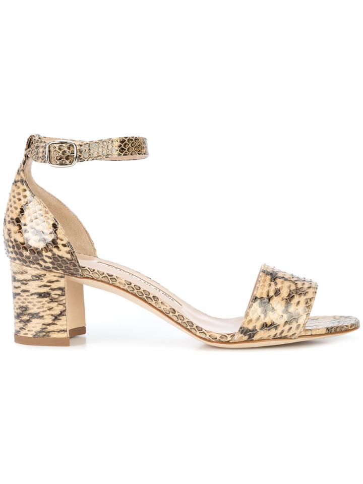 Manolo Blahnik Laura 50 Pumps - Nude & Neutrals