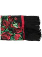 Dolce & Gabbana Floral Print Fringed Scarf - Black